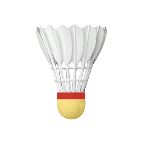 Ejaaz Gold Feather Shuttlecocks ( Pack of 12 )